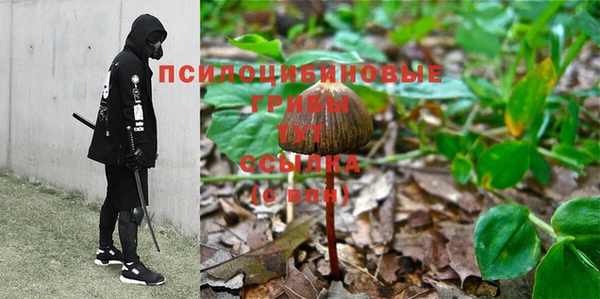 СК Баксан