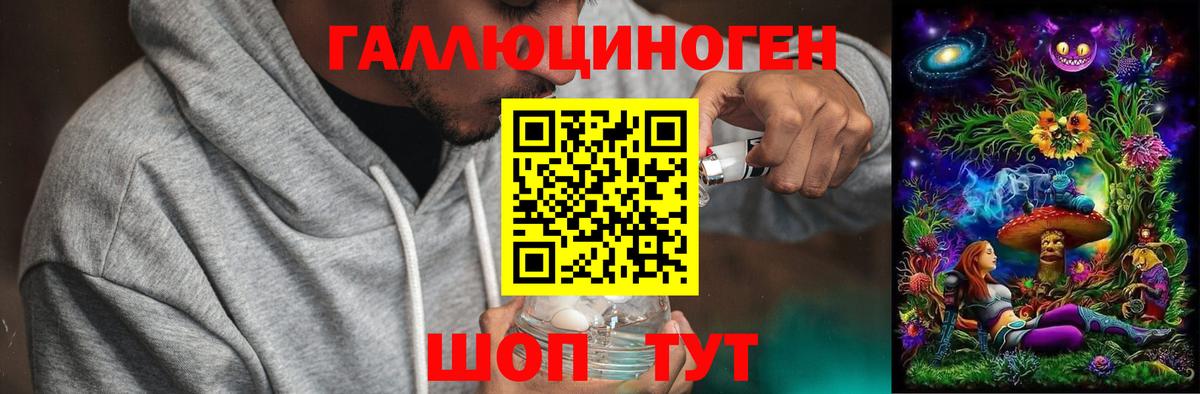 купить   Бутурлиновка  Галлюциногенные грибы MAGIC MUSHROOMS 