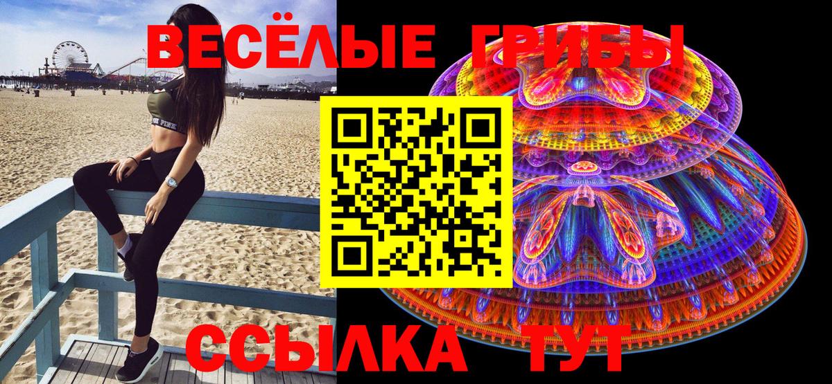 Бутурлиновка  сколько стоит  Псилоцибиновые грибы GOLDEN TEACHER  Вход с VPN  Псилоцибиновые грибы Magic Shrooms 